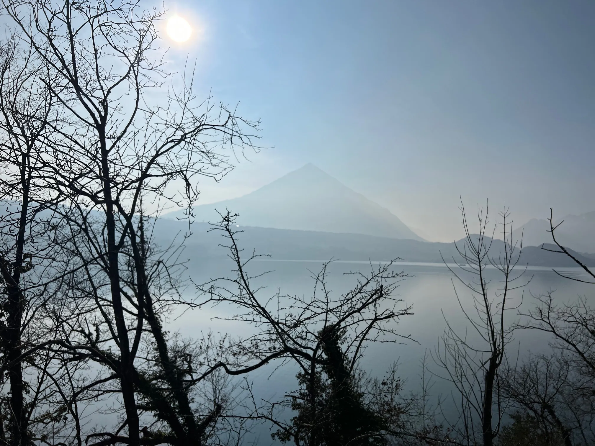Niesen view out of the forest